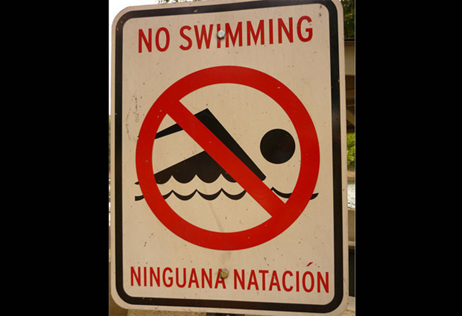 Ninguana natación